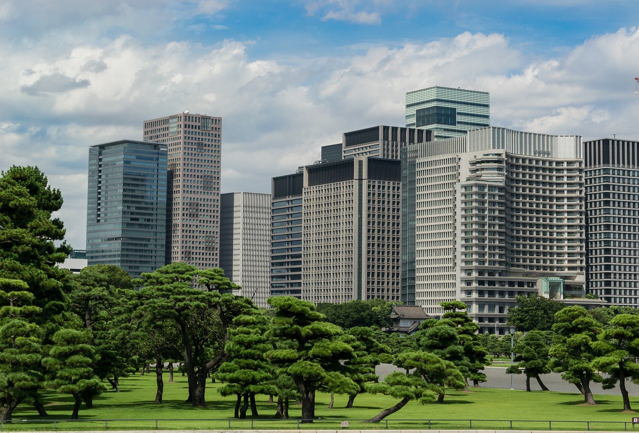 最新社旗，引领时代潮流，展现城市魅力